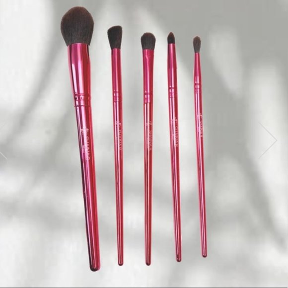 🌈4/$20 NEW SHAINA B MIAMI B. Fab Makeup Brush Set Retail Price: $24.95 - Picture 4 of 8